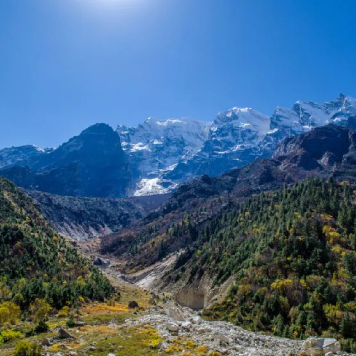 Gangotri National Park 